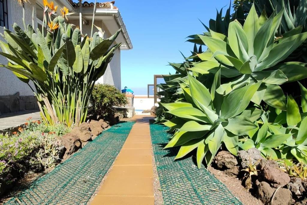Heated Pool With Sea View Tranquil Retreat At Malvasia Garden Sauzal