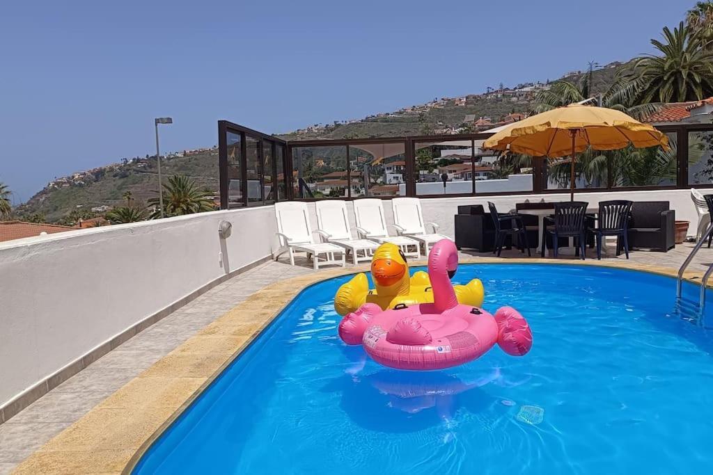 Heated Pool With Sea View Tranquil Retreat At Malvasia Garden Sauzal